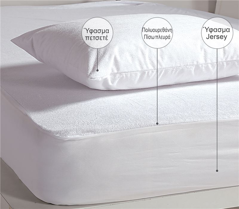 https://xtend.gr/softonedemo/009794-3.jpg