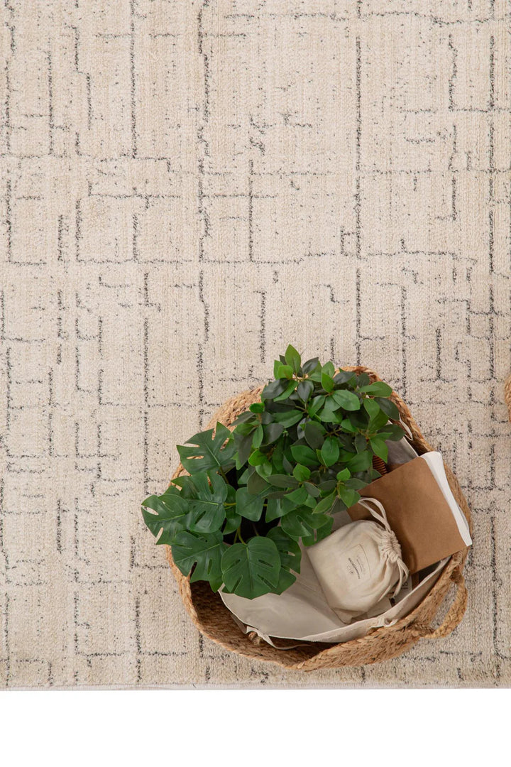 Μοντέρνο Χαλί Μπεζ-Γκρι Matisse Royal Carpet 200X250 (28339A)
