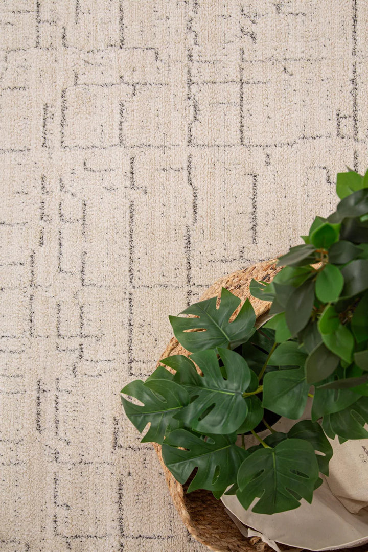 Μοντέρνο Χαλί Μπεζ-Γκρι Matisse Royal Carpet 200X290 (28339A)