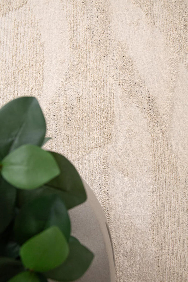 Μοντέρνο Χαλί Μπεζ Matisse Royal Carpet 200X250 (29563)