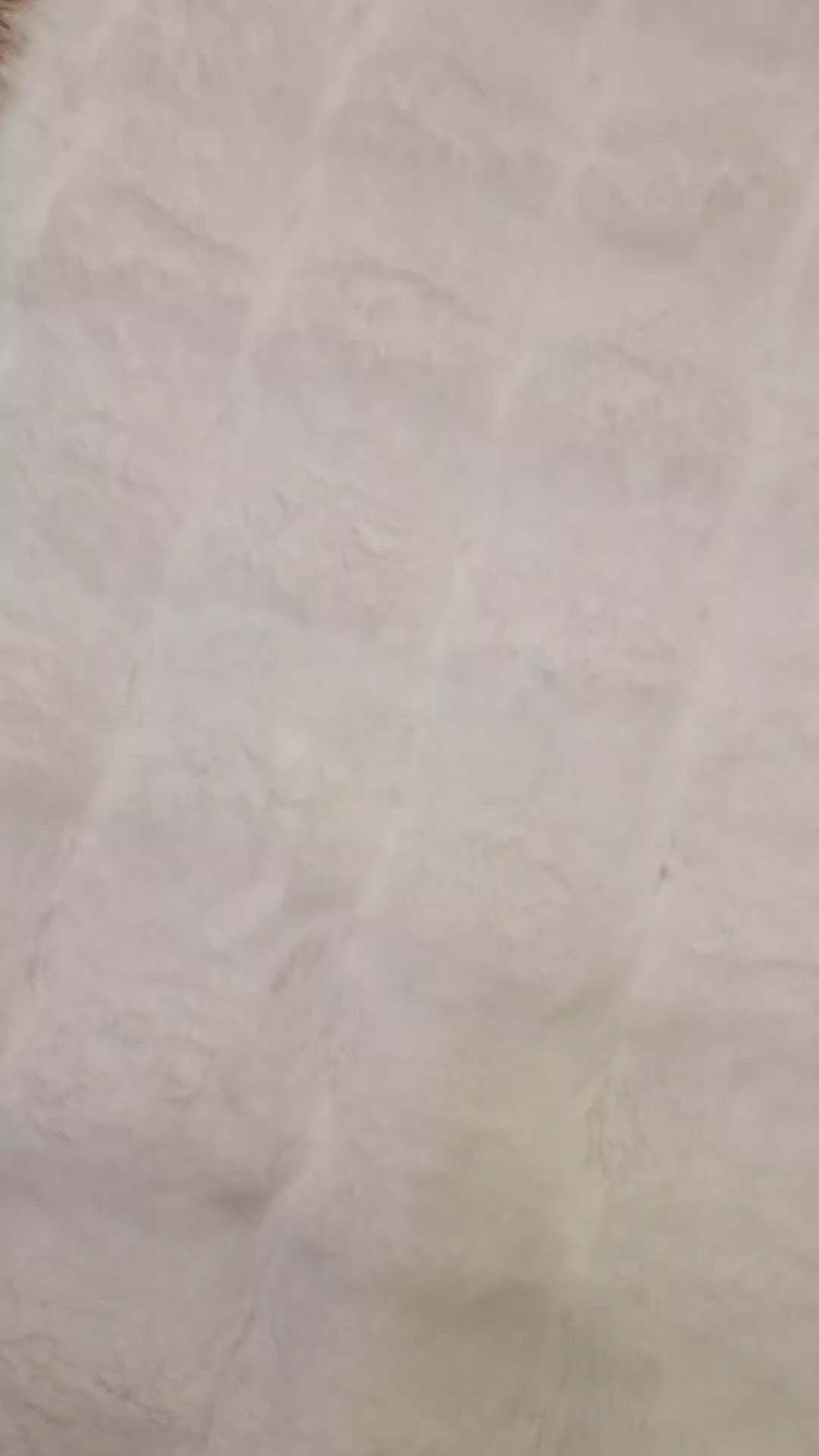 Γούνινο Χαλί Λευκό Συνθετικη Γούνα Bubble Royal Carpet 1.60X2.30